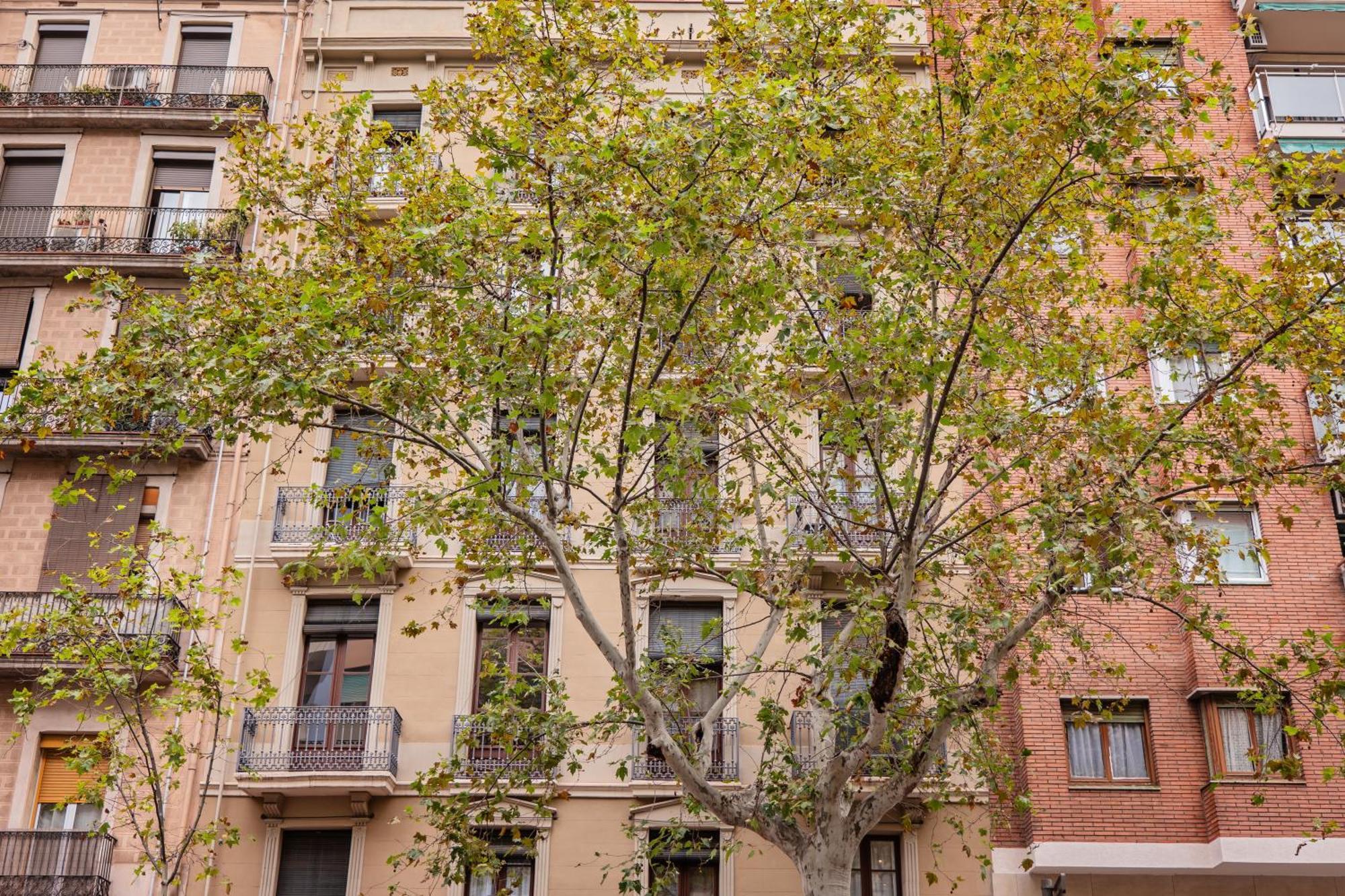 Sweett - Urgell Eixample Apartment Барселона Екстериор снимка